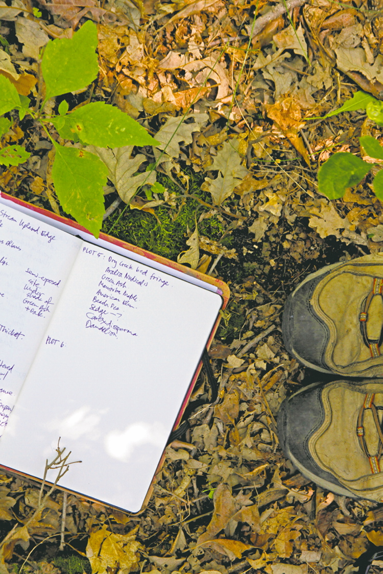 Supplied photo
Shawn Stankewich has been putting his best foot forward, incorporating the Bois-des-Esprits into his landscape architecture practicum.