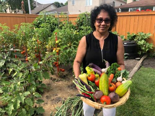 Avid Maples area kitchen gardener Mary Perera with some items of her harvest.