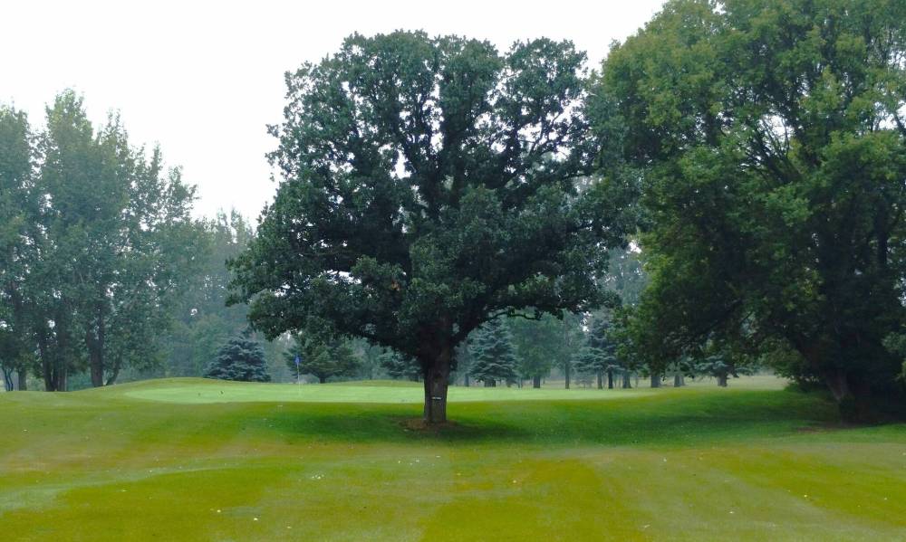 Photo by Ryan Desjarlais
There is a huge tree right in front of the green obscuring any view of the flag on the first hole at Hartney Golf Club.