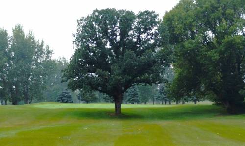 Photo by Ryan Desjarlais
                                There is a huge tree right in front of the green obscuring any view of the flag on the first hole at Hartney Golf Club.