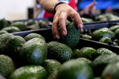 File photo
                                Sometimes purchasing a bag of avocados or pears is cheaper than purchasing them individually.