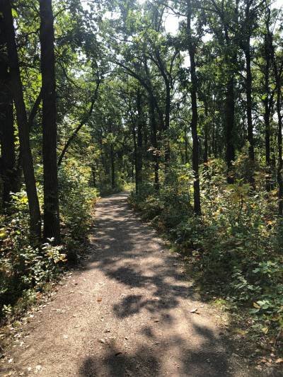 Photo by Tanya Misseghers
                                On Saturday, Sept. 13, Save Our Seine will host Walking Gently: Learning from the Plants Along the Seine River, from 11 a.m. to noon in the Bois-des-Esprits.