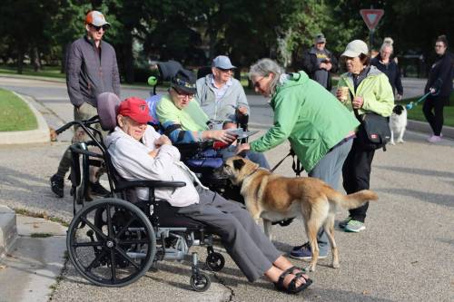 Supplied photo by Lorne Volk
                                Riverview Health Centre will hold its fourth annual dog parade on Saturday, Sept. 20.