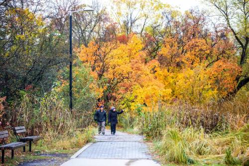 Free Press file photo by Mikaela Mackenzie
                                The leaves are beginning to turn, with autumn just around the corner.