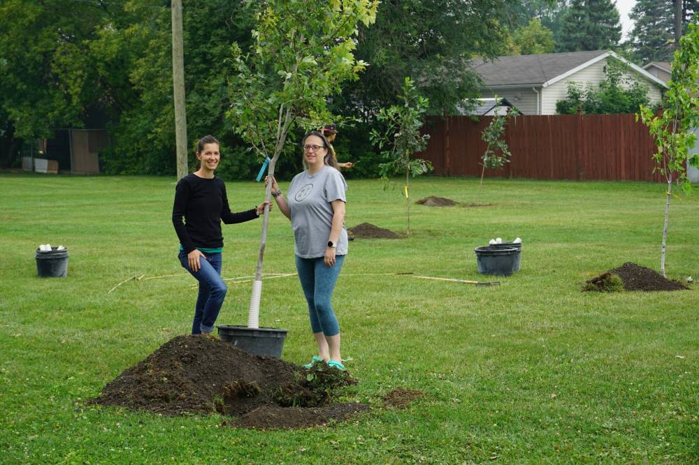 Supplied photo courtesy of Miriam Rudolph
The Windsor Park Residents’ Association, in collaboration with the City of Winnipeg, recently planted 27 trees in the neighbourhood. The group will hold a tree planting demonstration and tree raffle on Sept. 21.