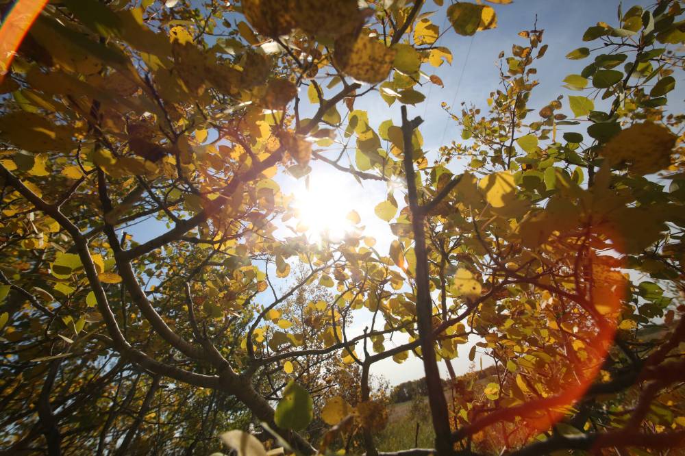 File photo
Community correspondent Sonya Braun loves autumn.