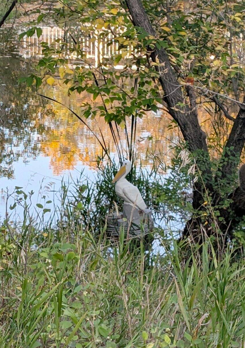 Photo by Sandy Nemeth
                                A carved wooden owl, eagle and pelican (above) are delightful works of public art along the Bois-des-Esprit trail.