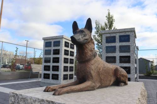 Photo by Emma Honeybun