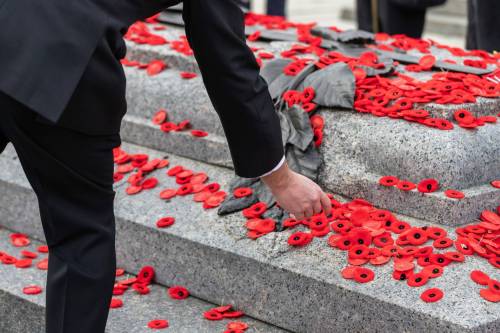 Adobe Stock photo
                                Poppies are placed upon the Tomb of the Unknown Soldier at the National War Memorial in Ottawa.