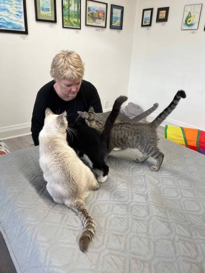 Photo by Simon Fuller
                                Barbara Best pictured feeding a number of her feline friends recently.