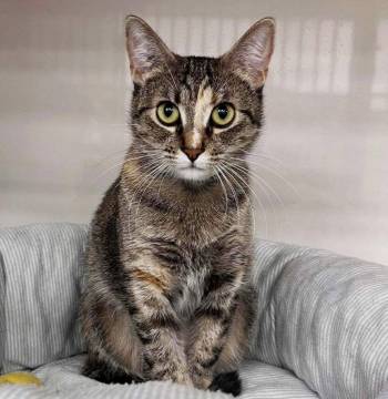 Supplied photo
                                This is Spenny.