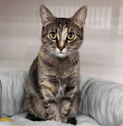 Supplied photo
                                This is Spenny.