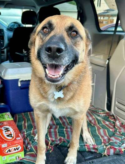 Supplied photo
                                Meet Portia!