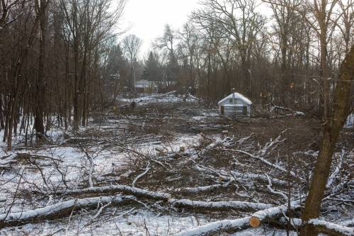 File photo
                                A year ago, developers began the process of removing trees in Lemay Forest to prepare for a proposed housing development.
