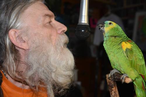 Supplied photo
                                Doug Kretchmer and Billie, his blue-fronted Amazon parrot, often sing karaoke together.