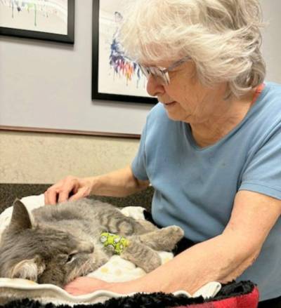 Supplied photo
                                Retired social worker Veronica Walsh said Fixing Feral Felines now takes up most of her time.