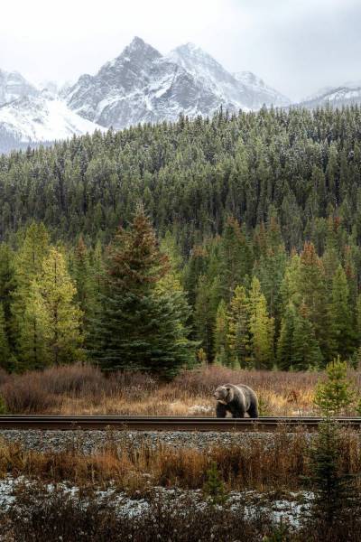Adobe Stock
                                Jasper National Park in Alberta is one of Canada&rsquo;s most iconic mountain destinations, offering a blend of accessible scenery and vast wilderness.