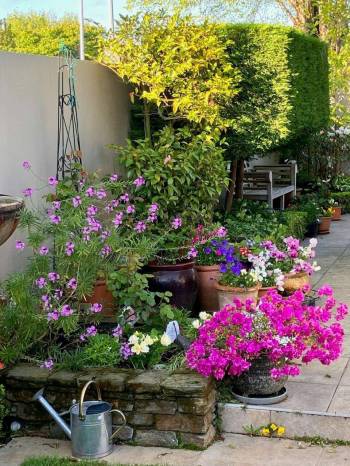 Photo by Leslie Pitchford
                                Community correspondent Leslie Pitchford enjoys spending time in her garden each summer.