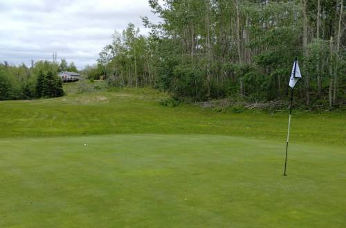 Photo by Ryan Desjarlais
                                The eighth green at Snow Lake Golf Course in Snow Lake, Man.
