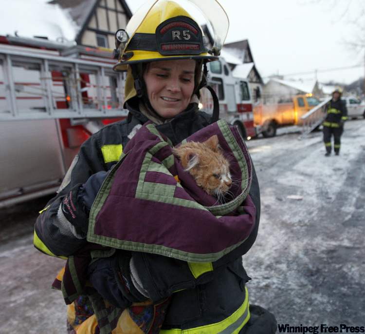 Ken Gigliotti / Winnipeg Free Press
A cat was found in the rubble this morning.