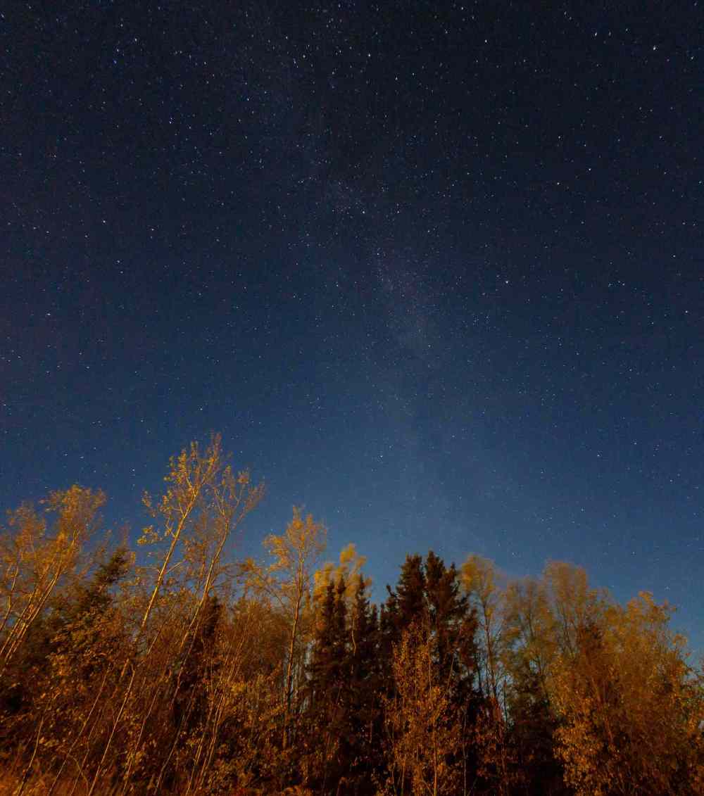 Mike Deal / Winnipeg Free Press
A clear night reveals a sky full of stars.