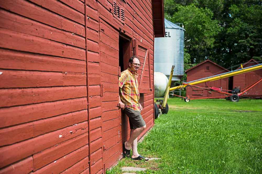 MIKAELA MACKENZIE / WINNIPEG FREE PRESS
Chris Dzisiak, president of the Parkland Industrial Hemp Growers Cooperative.