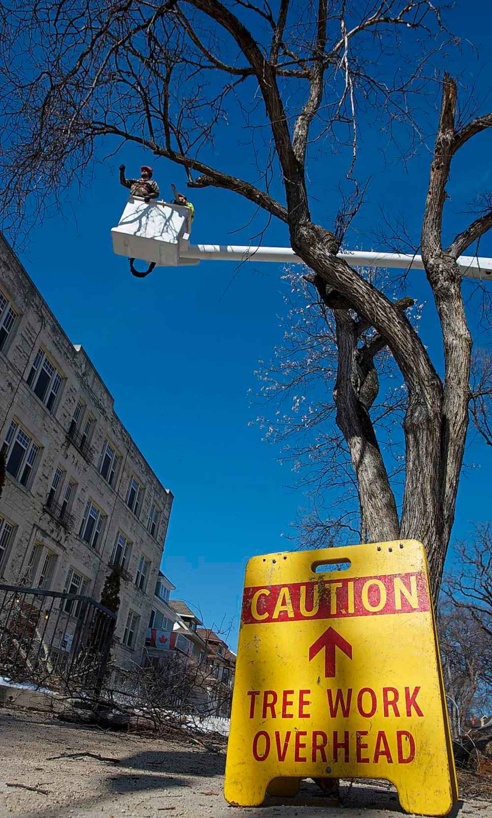 MIKE DEAL / WINNIPEG FREE PRESS
A City of Winnipeg crew cuts down an elm tree at the corner of Wolseley Avenue and Lenore Street Monday.