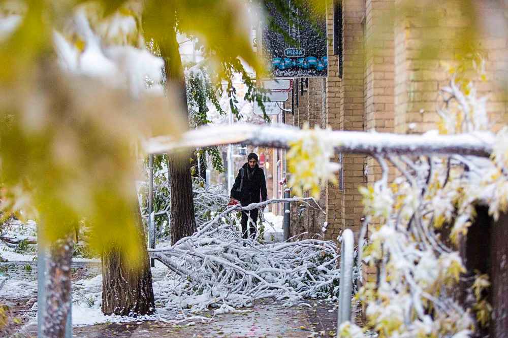 Karan Rajkohli walks down the sidewalk between the downed branches on Bannatyne Avenue. (Mikaela MacKenzie / Winnipeg Free Press)