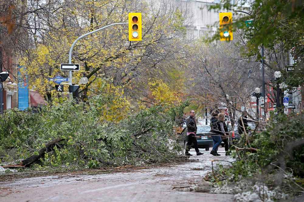 Trees in the Exchange District were hit hard by the heavy, wet snow. (John Woods / Winnipeg Free Press)
