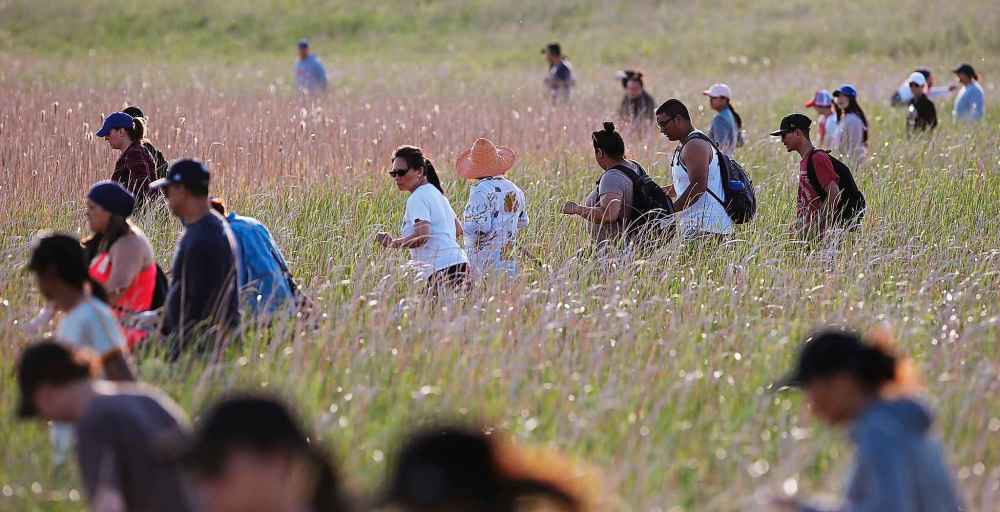 JOHN WOODS / WINNIPEG FREE PRESS FILES
An army of volunteers helped in the search for Eduardo Balaquit, scouring fields just outside the Perimeter Highway for clues. His body has not been found.