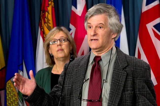 Green party leader Elizabeth May looks on after announcing Daniel Green as a Deputy leader of the party during a news conference in Ottawa, Tuesday December 2, 2014. The NDP'S stature in New Brunswick ahead of the October federal election has taken a hit following a series of defections to the Greens. THE CANADIAN PRESS/Adrian Wyld