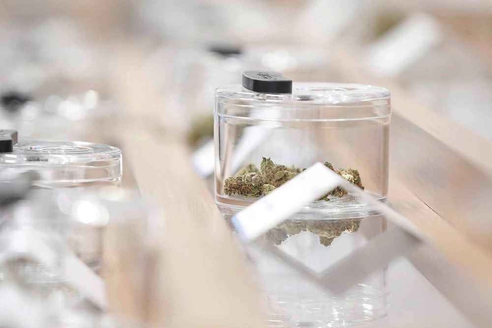 JOHN WOODS / THE CANADIAN PRESS FILES
Cannabis sits in a sample display in Winnipeg.