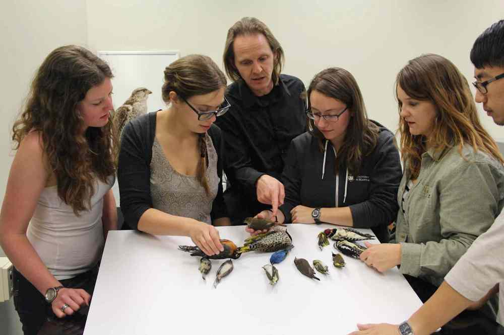 SUPPLIED PHOTO
Prof. Kevin Fraser (centre), and graduate and undergraduate students Alisha Ritchie (from left), Amélie Roberto-Charron, Amanda Shave, Kelsey Bell and Lawrence Lam examining window-killed birds in his lab in the department of biological sciences at the University of Manitoba.