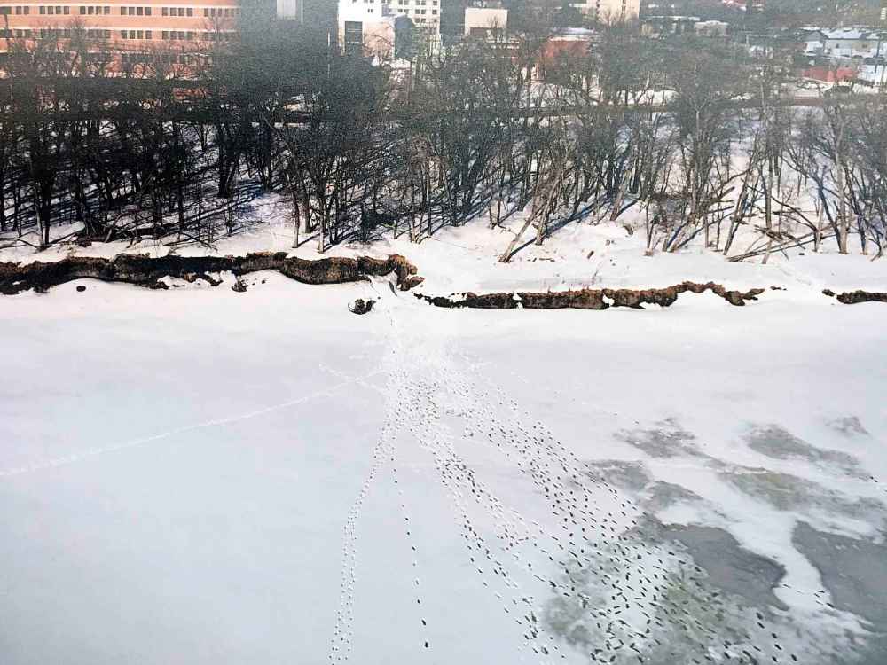COURT PHOTO
Brian Kyle Thomas was arrested crossing the frozen Red River.