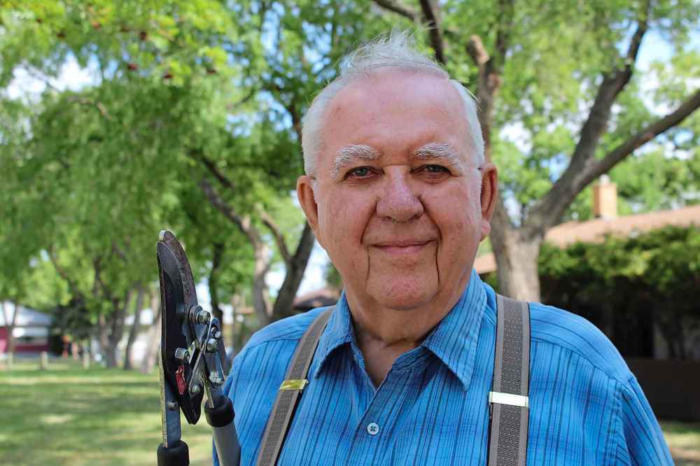MAGGIE MACINTOSH / WINNIPEG FREE PRESS
Walter Schurko has been pruning the trees in the park across the street from his house for the last 40 years.