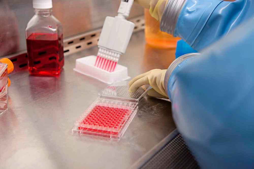 Employees of the National Microbiology Laboratory working with cell and virus cultures in Canada's only Containment Level 4 laboratory.