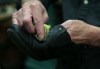 Shannon VanRaes
SHANNON VANRAES / WINNIPEG FREE PRESS
Merv Chyz polishes a shoe at The Leather Patch on Academy Rd. In Winnipeg on November 19, 2019.