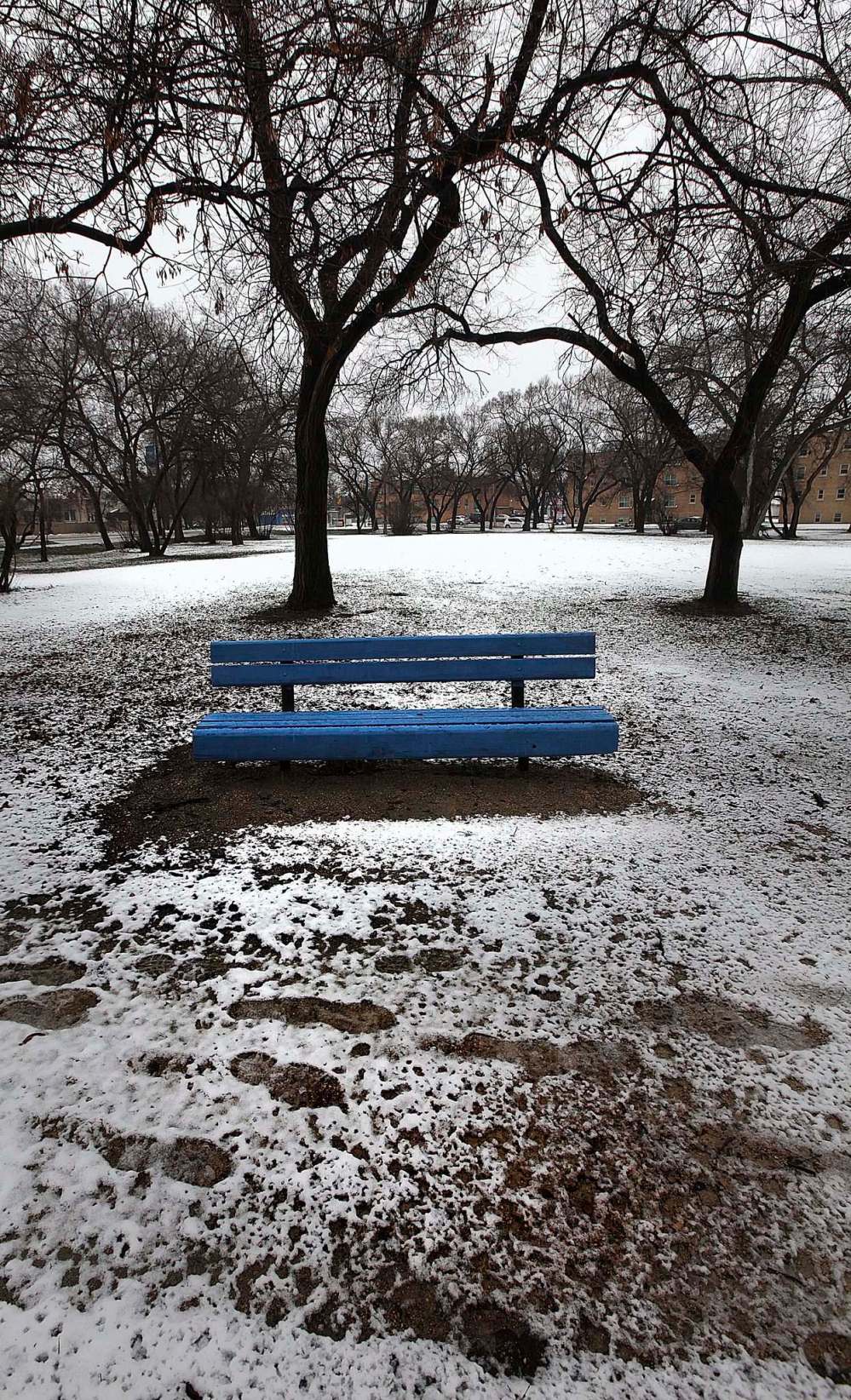 PHIL HOSSACK / WINNIPEG FREE PRESS
A blue bench in a deserted Norwood Grove Park serves as a visual metaphor for the fate of the city’s parks department.