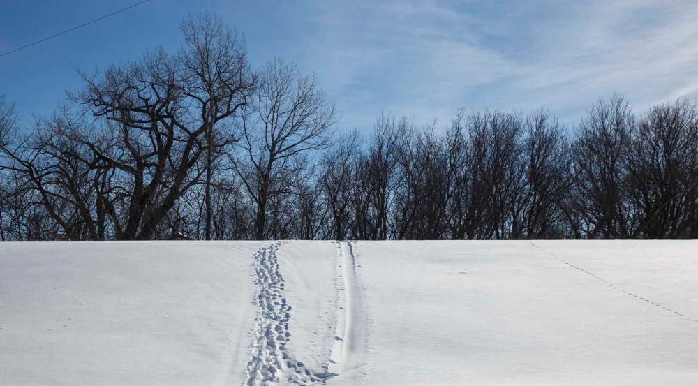 MIKE DEAL / WINNIPEG FREE PRESS
Tracks can be seen in the snow close to the American border at Emerson.