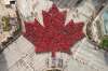 DAN HARPER PHOTO
Over 3,600 people gathered this moring at Portage and Main to create a living maple leaf.