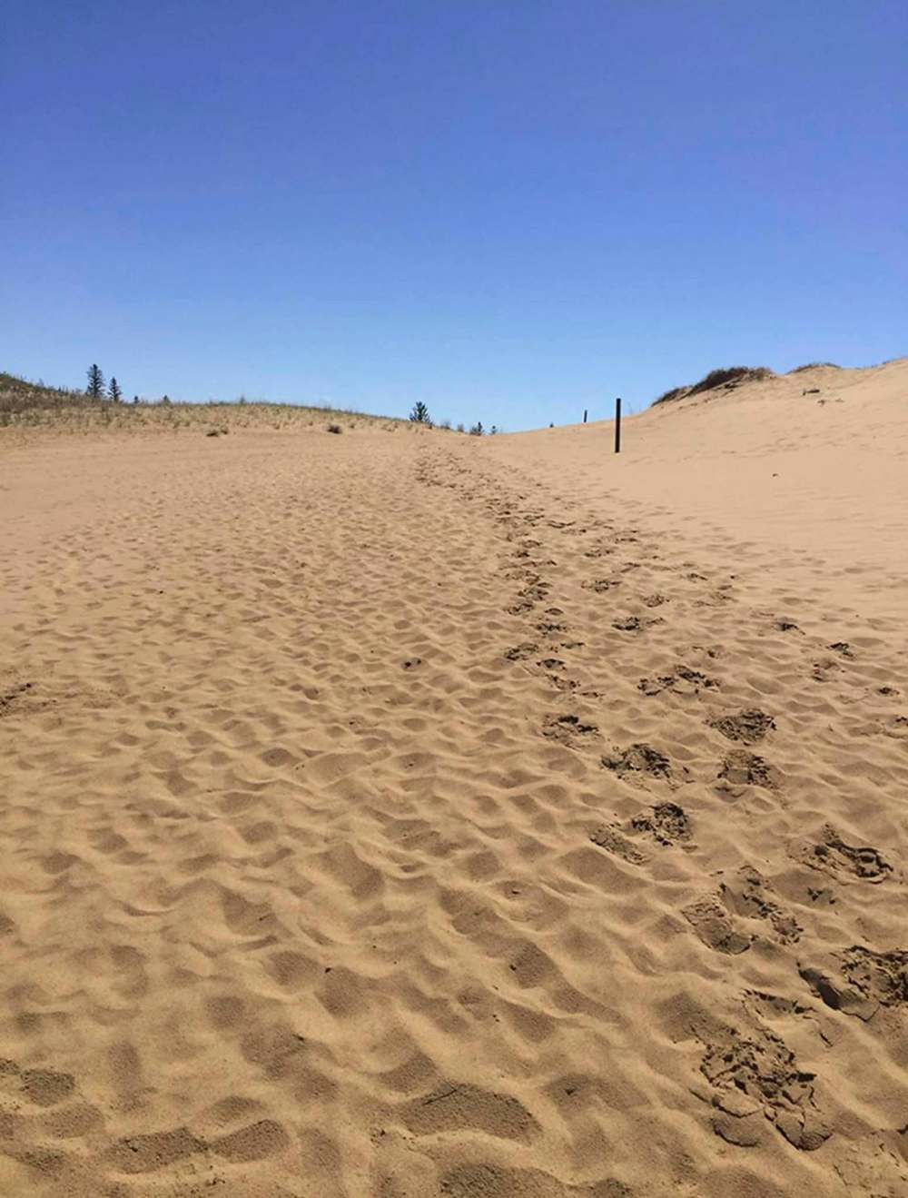 SUPPLIED
Kelly Gosselin and sister-in-law Lana Gosselin did a memorial walk in the Spirit Sands after Darcee Gosselin died.