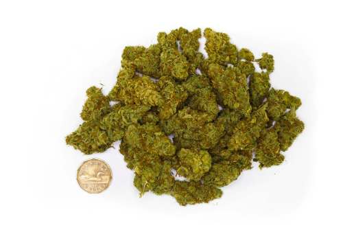 Mike Deal / Winnipeg Free Press
Thirty grams of dried cannabis bud.