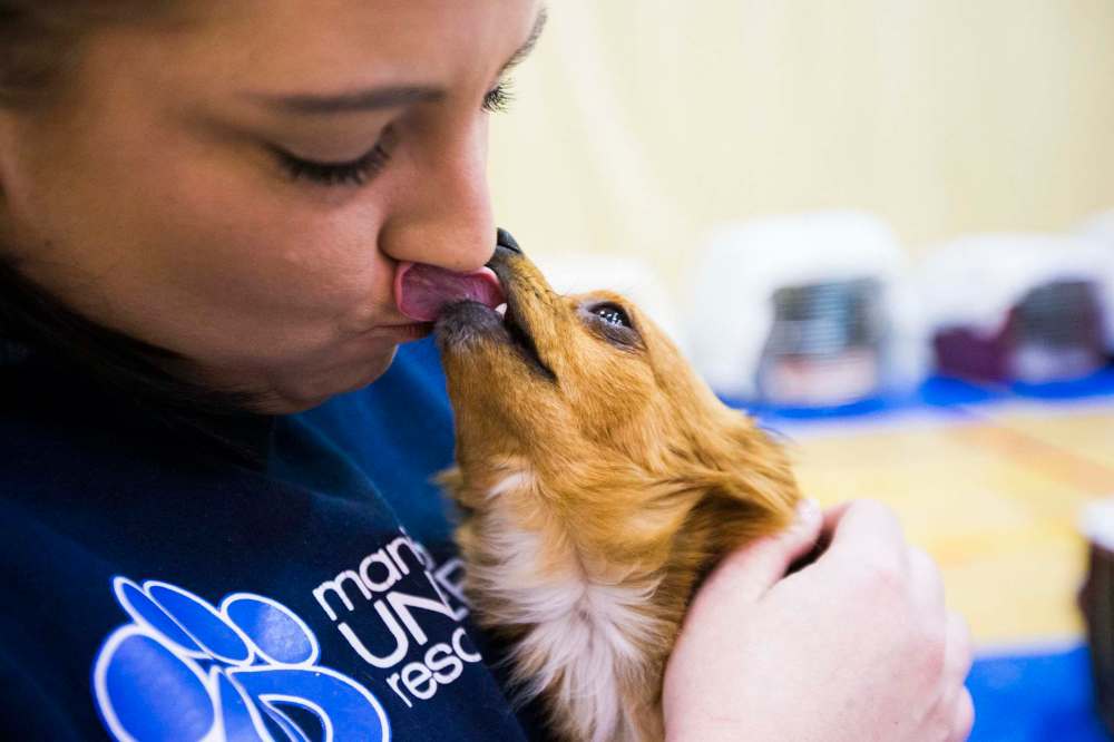 MIKAELA MACKENZIE / WINNIPEG FREE PRESS
Manitoba Underdog volunteer Shawna Beach-Nelson cuddles and kisses a dog at the spay and neuter clinic on the Chemawawin First Nation Reserve.