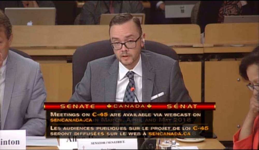 Cannabis Canada Council executive director Allan Rewak said his industry group's position against outdoor cannabis cultivation doesn't apply to personal cultivation at home. (Senate of Canada)