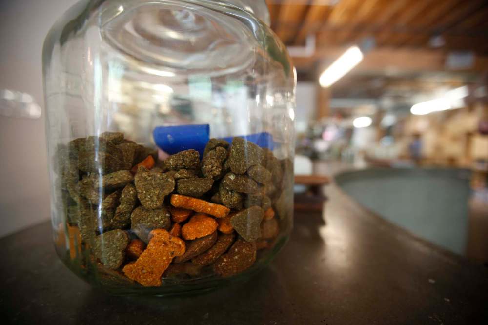 Dog treats and bowls of water are provided for four-legged furry friends at Forth in the Exchange. (John Woods / Winnipeg Free Press)