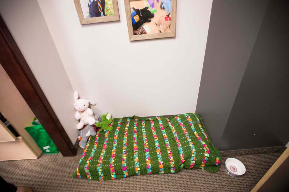 MIKAELA MACKENZIE / WINNIPEG FREE PRESS
The support dog's bed.