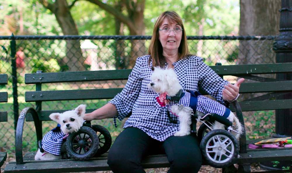 photos from Netflix
Dogs has a wide focus, with each episode following different pets and owners.