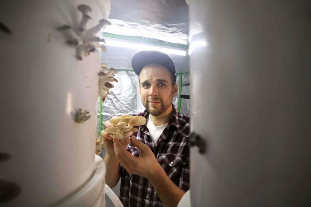 Jarrett Moffatt found growing oyster mushrooms in his mom’s basement was a way to break the boredom and pain of a debilitating illness. (Ruth Bonneville photos / Winnipeg Free Press)