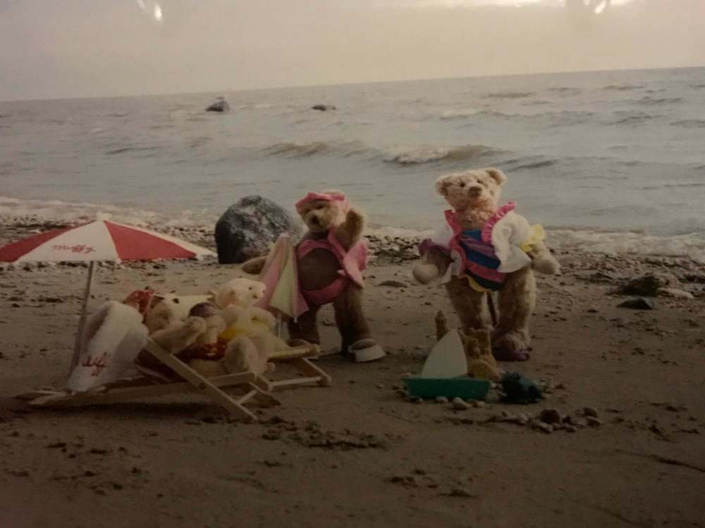 Sometimes, McLean's bears enjoyed hanging out on the beach. (Supplied)