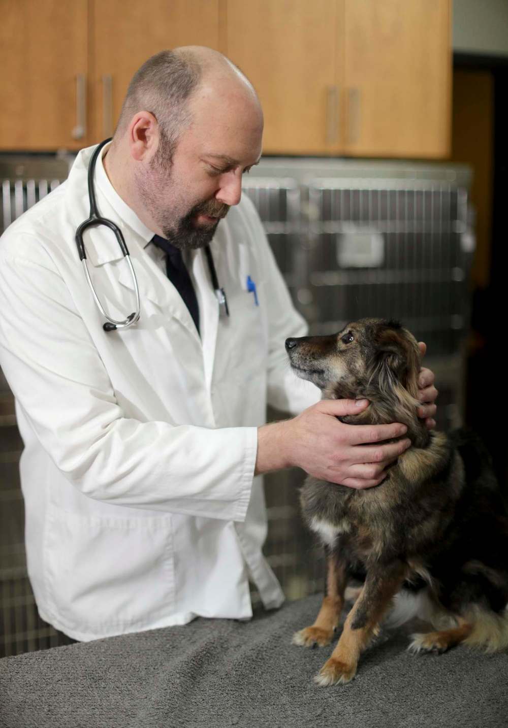 TREVOR HAGAN / WINNIPEG FREE PRESS
Veterinarian Jonas Watson works at Tuxedo Animal Hospital, but has helped spearhead a series of mobile pet clinics that reach some of the remote parts of Manitoba and underserved populations in Winnipeg.